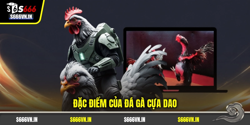 Đặc điểm của đá gà cựa dao Đặc điểm của đá gà cựa dao