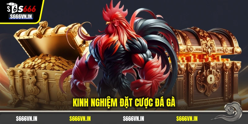 Kinh nghiệm đặt cược đá gà Kinh nghiệm đặt cược đá gà