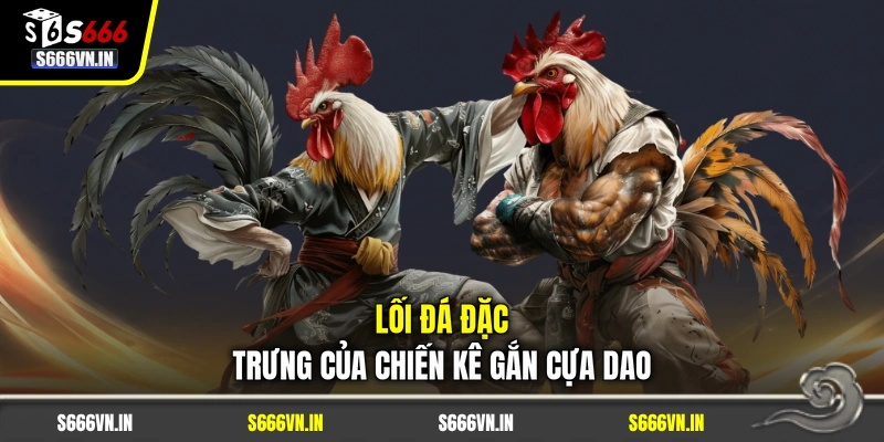 Lối đá đặc trưng của chiến kê gắn cựa dao Lối đá đặc trưng của chiến kê gắn cựa dao
