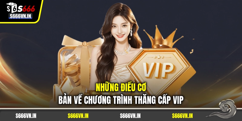 Những điều cơ bản về chương trình thăng cấp VIP