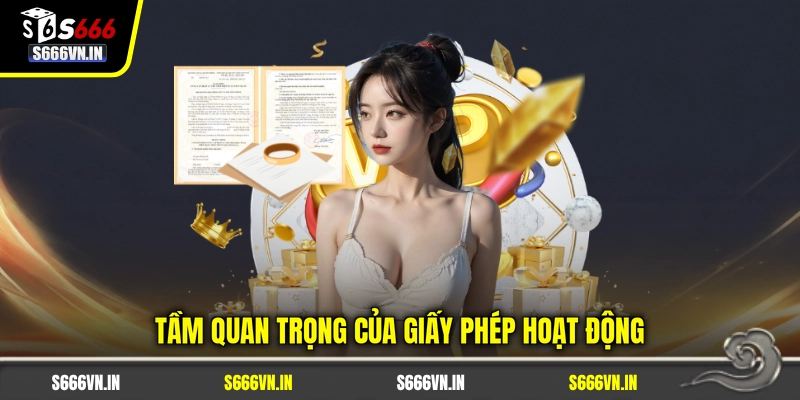 Giấy phép S666 1 Tầm quan trọng của giấy phép hoạt động